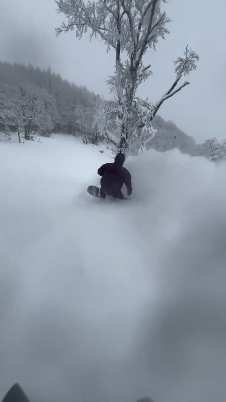 Post 4 by Jun Watanabe on Instagram (video)