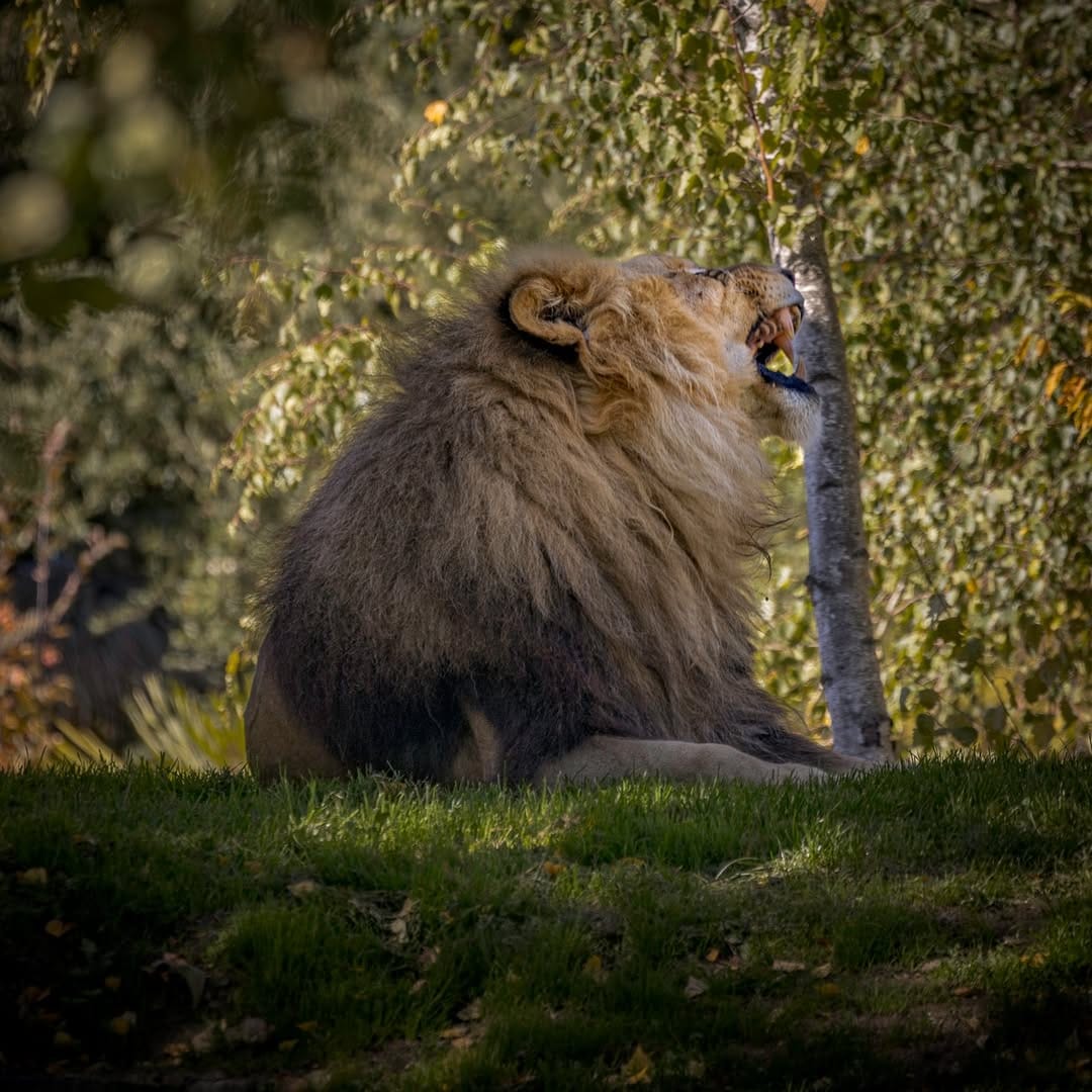 Post 5 by Julien Dervaux - FR (44) - Photos on Instagram (carousel)