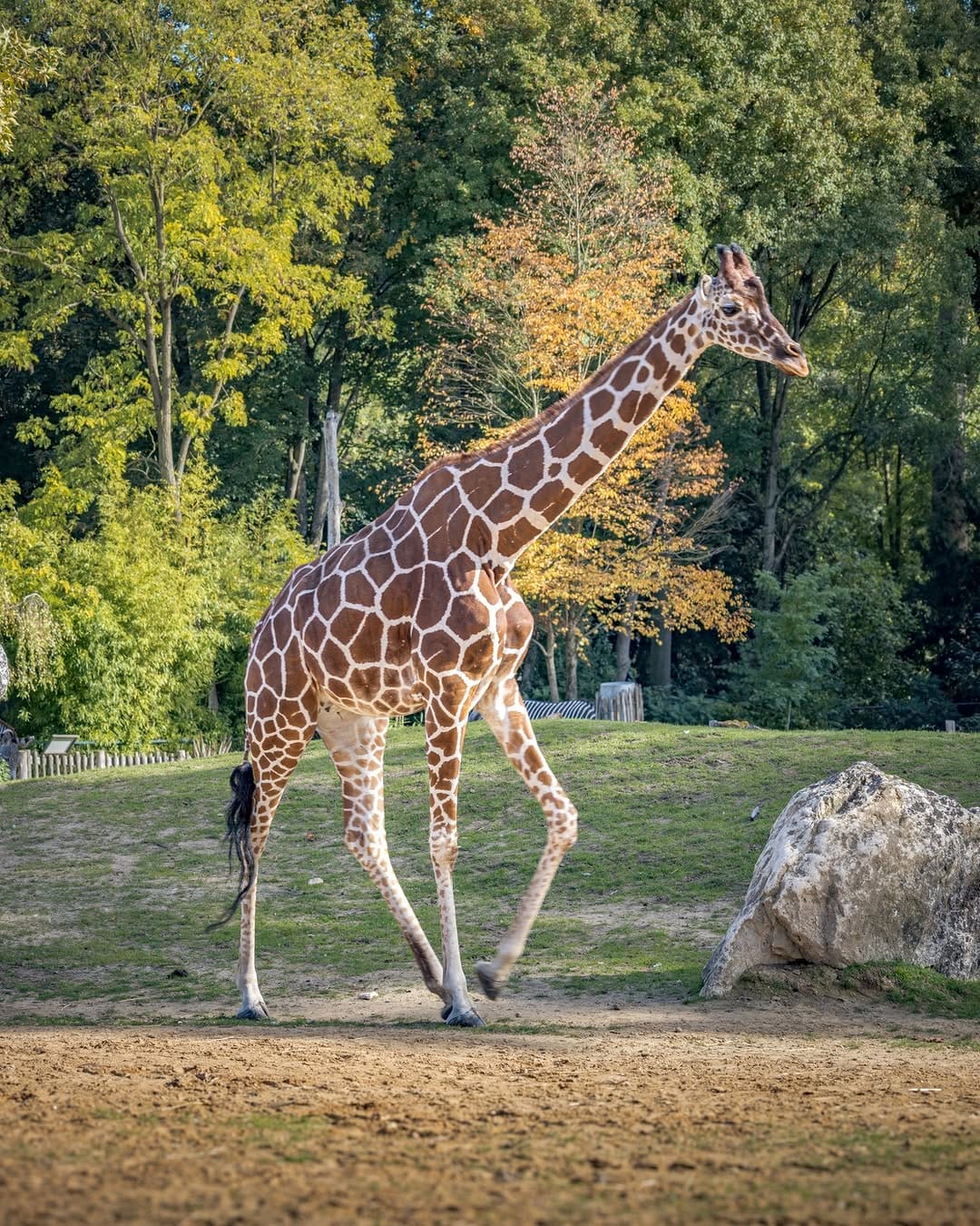 Post 1 by Julien Dervaux - FR (44) - Photos on Instagram (carousel)