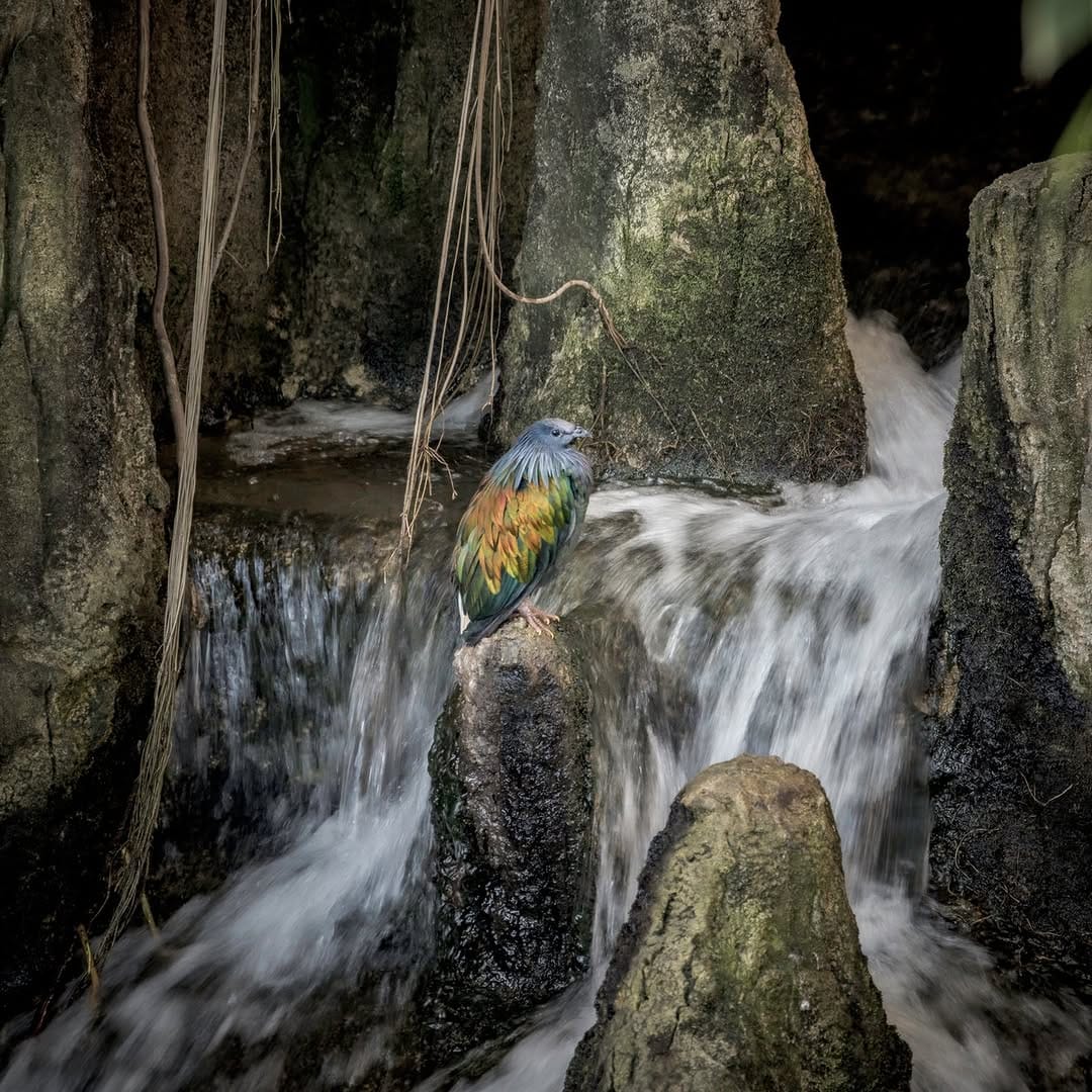 Post 6 by Julien Dervaux - FR (44) - Photos on Instagram (image)