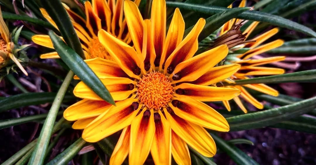 Post 5 by Antonio Andrade on Instagram (image)