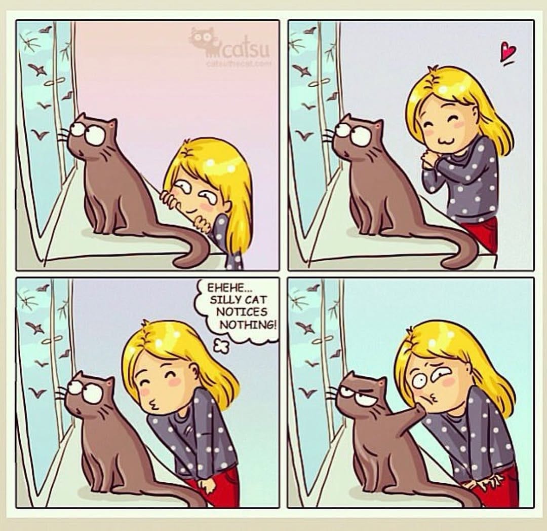 Post 3 by CatsuTheCat on Instagram (image)
