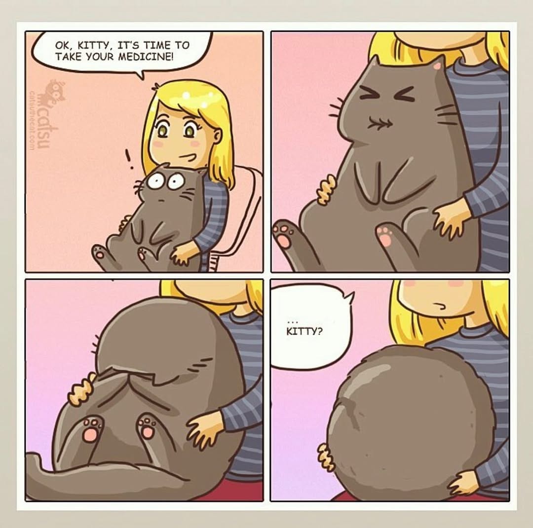 Post 4 by CatsuTheCat on Instagram (image)