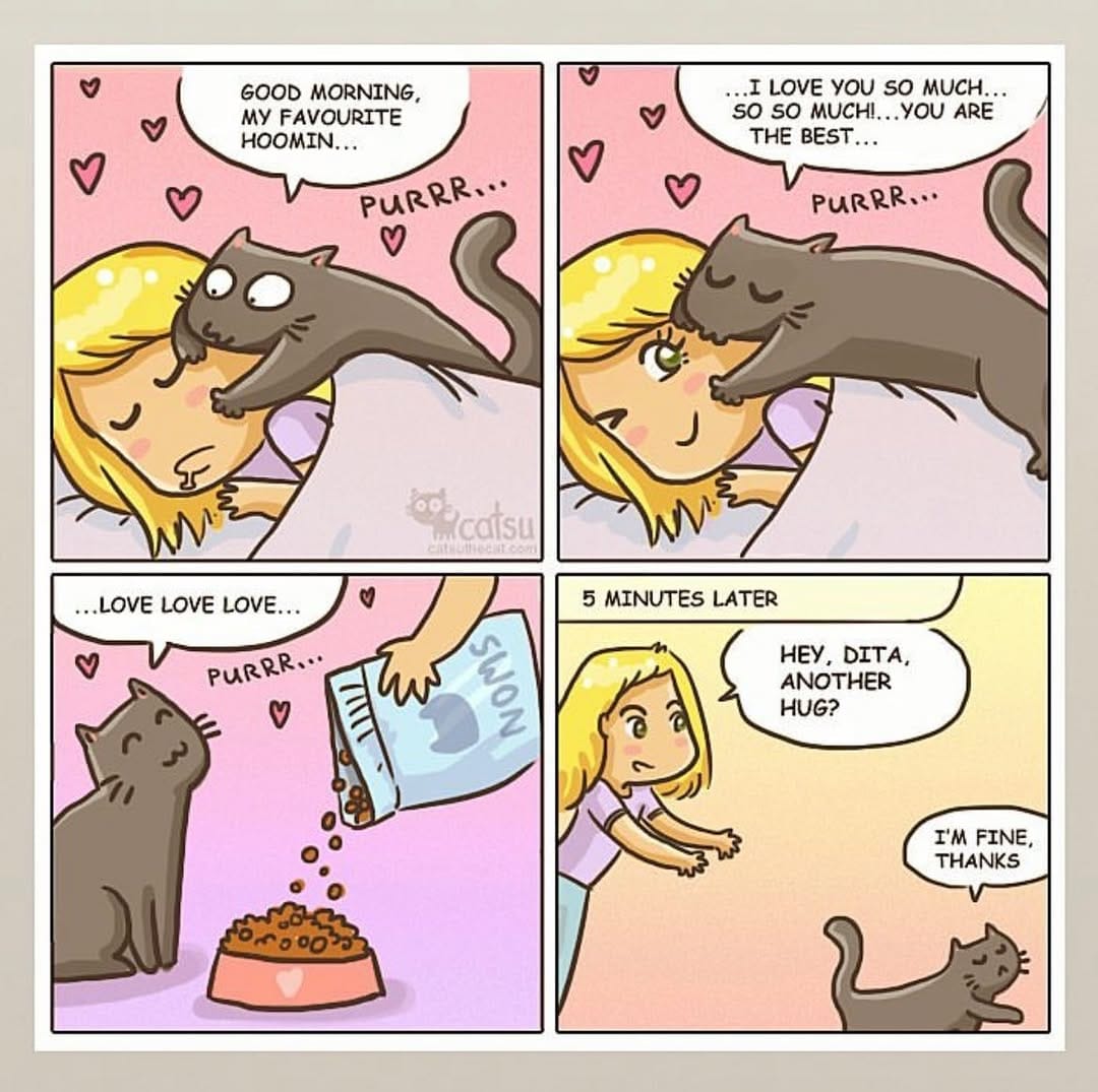 Post 8 by CatsuTheCat on Instagram (image)