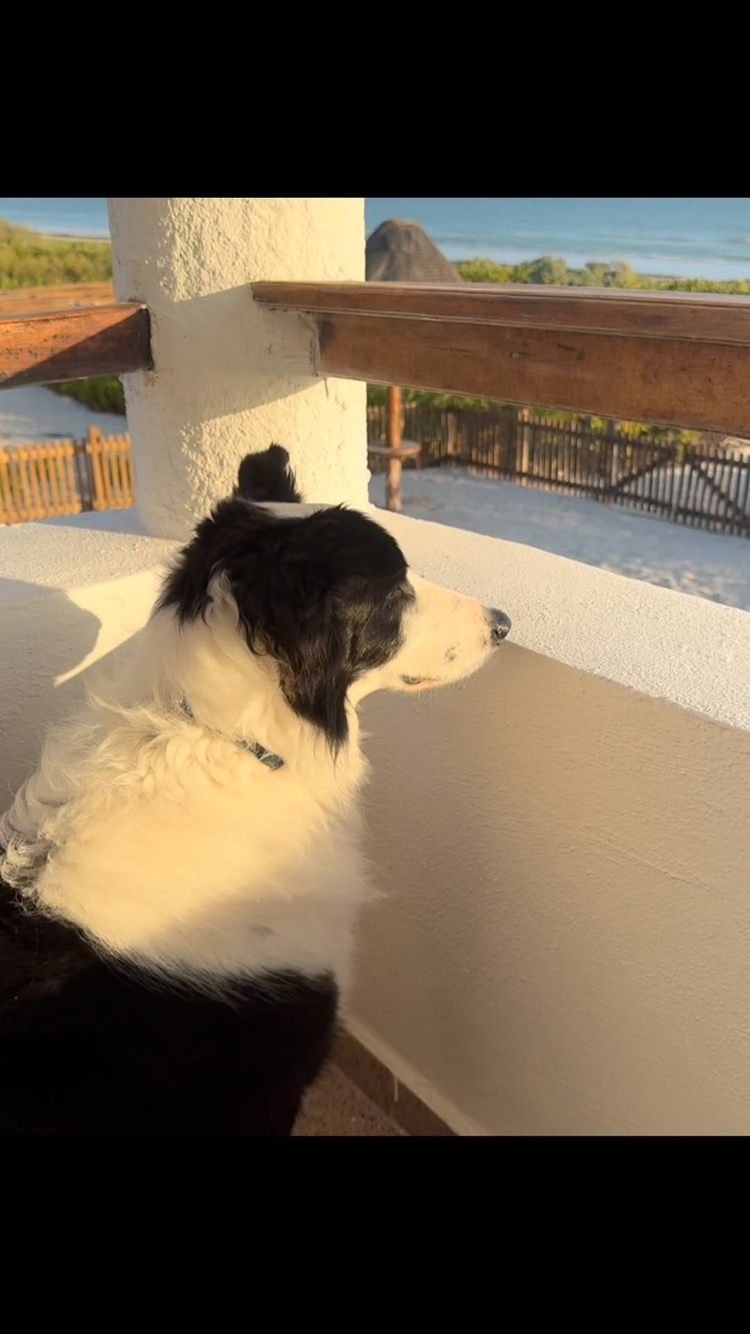 Post 7 by Jimmy Herrera on Instagram (video)