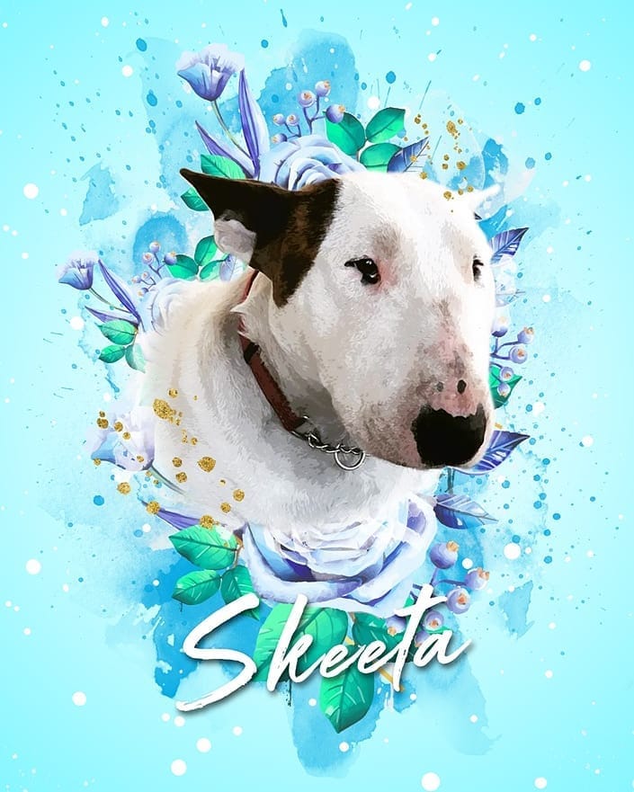 Post 5 by Bull Terrier Plus on Instagram (image)