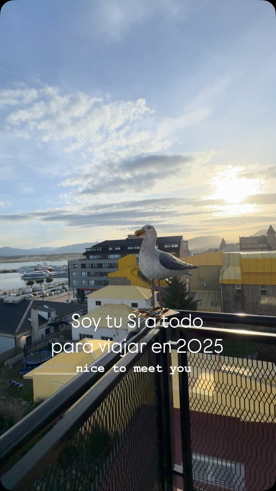 Post 8 by Tony MX ™️ on Instagram (video)