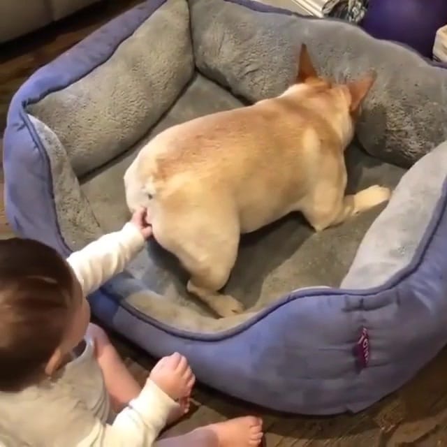 Post 1 by Stylists on Instagram (video)