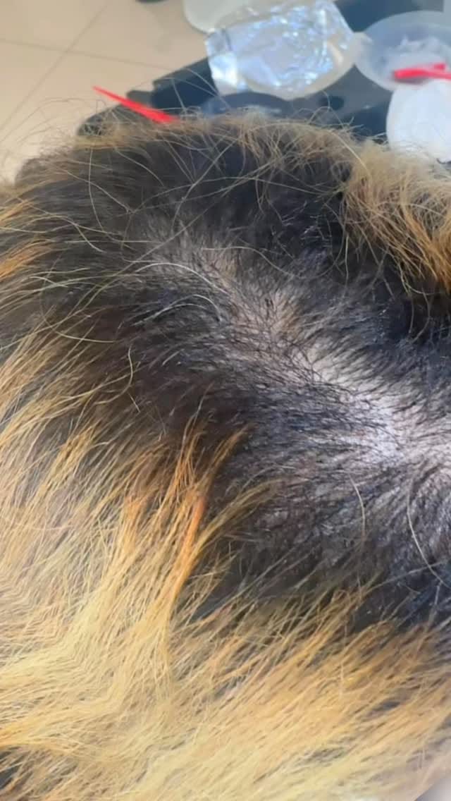 Post 2 by بشرى التميمي on Instagram (video)