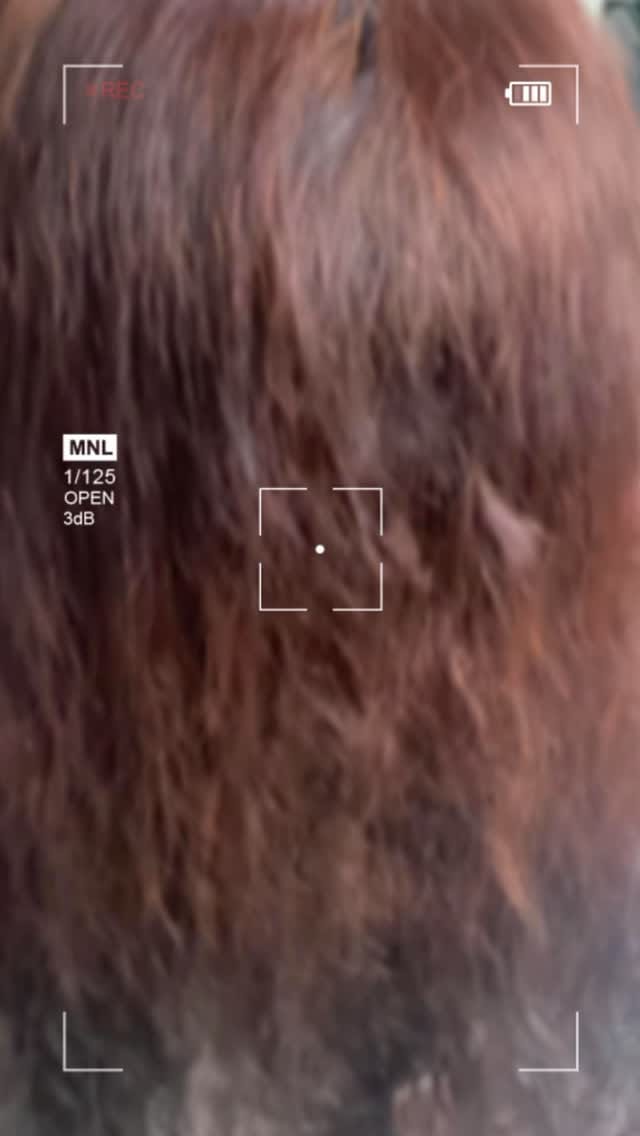 Post 4 by بشرى التميمي on Instagram (video)