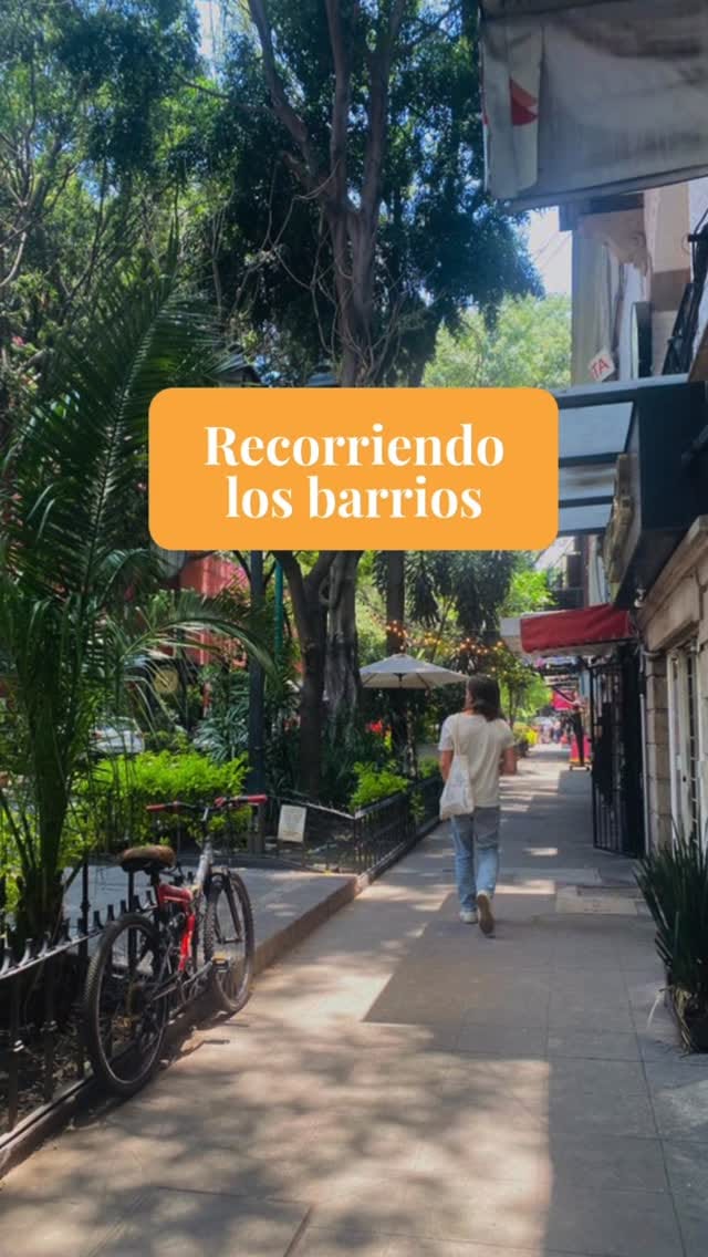 Post 7 by The Local Way on Instagram (video)