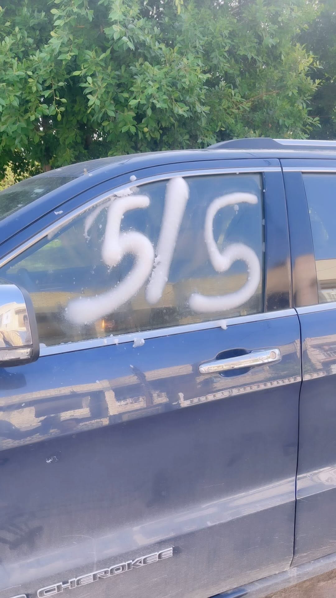 Post 5 by Salam on Instagram (video)