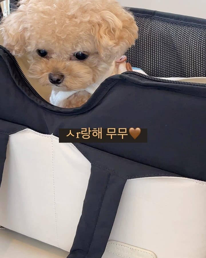 Post 6 by in hwa on Instagram (carousel)