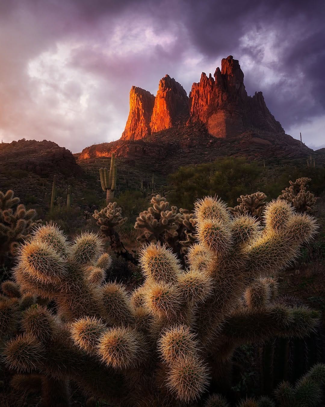 Post 7 by Andrew Helmer on Instagram (image)