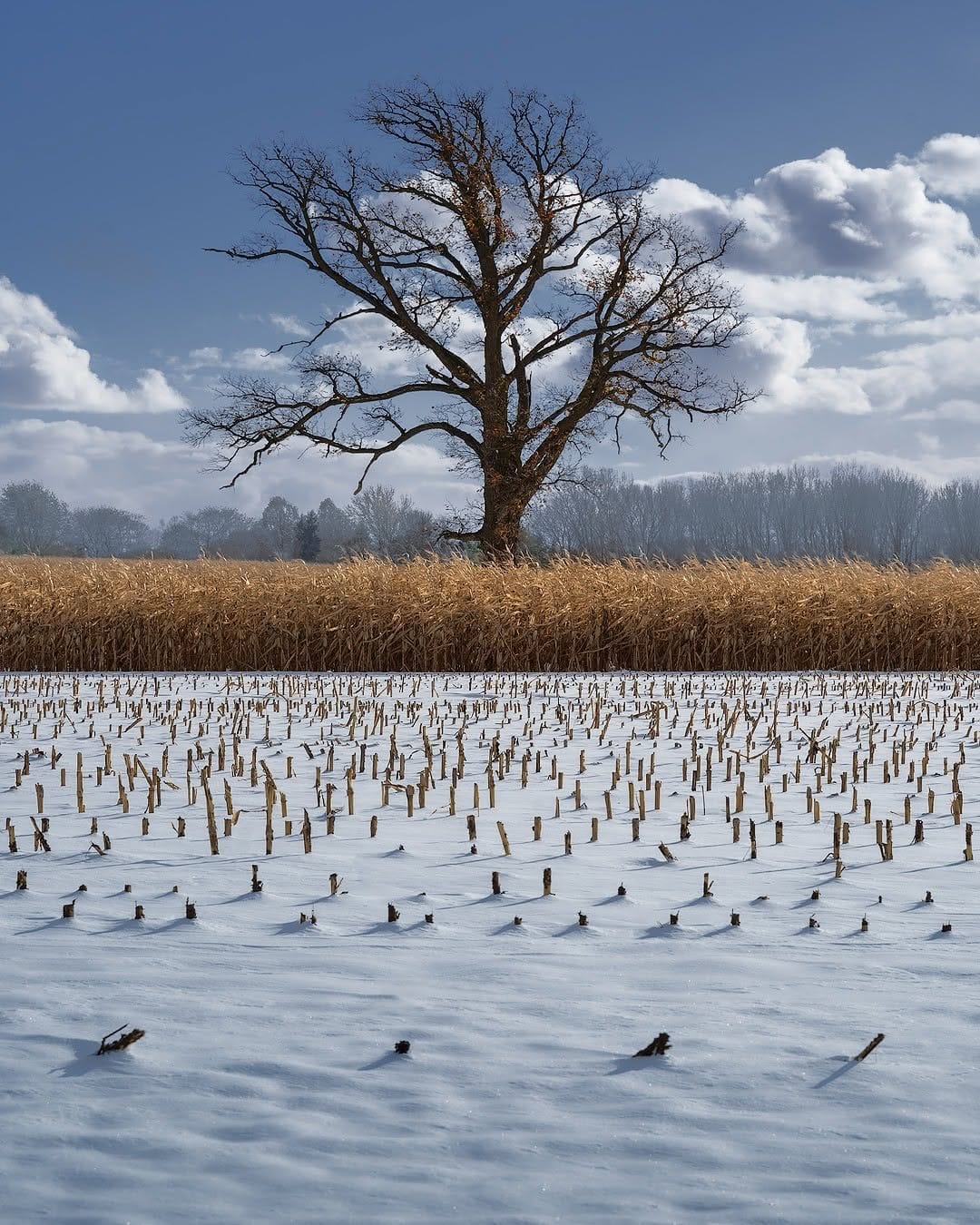 Post 10 by Andrew Helmer on Instagram (image)