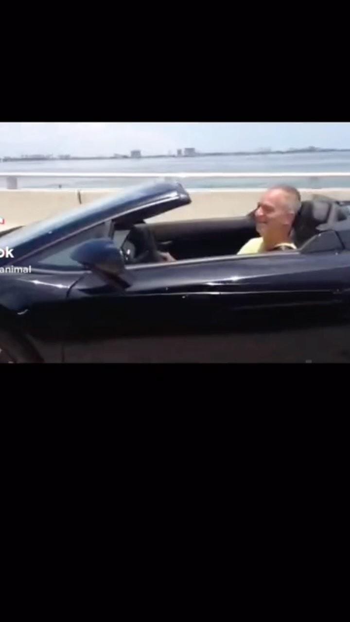 Post 2 by DJALBIEANIMAL on Instagram (video)
