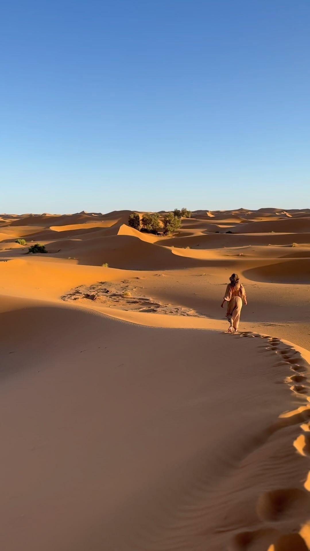 Post 9 by Shali on Instagram (video)