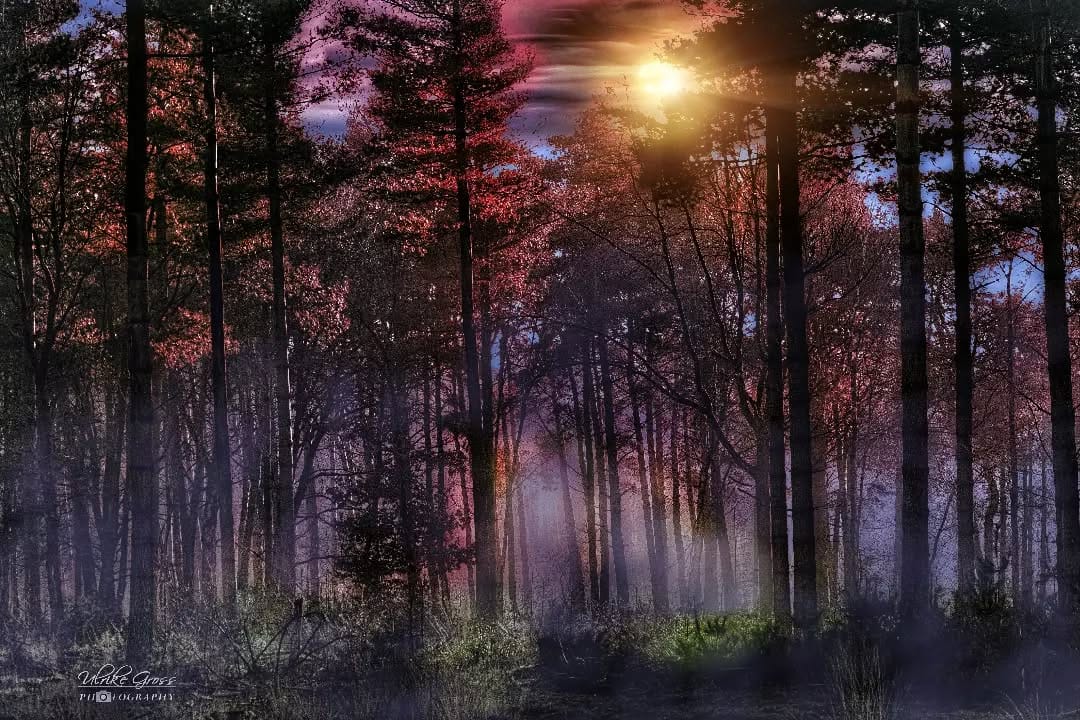 Post 8 by Ulrike Groß on Instagram (image)