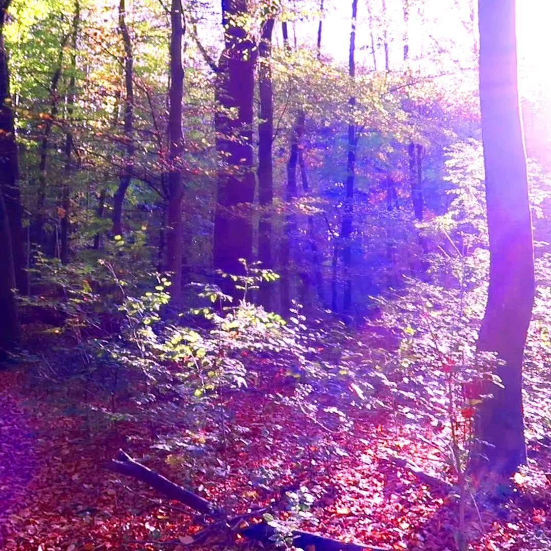 Post 3 by Ulrike Groß on Instagram (video)