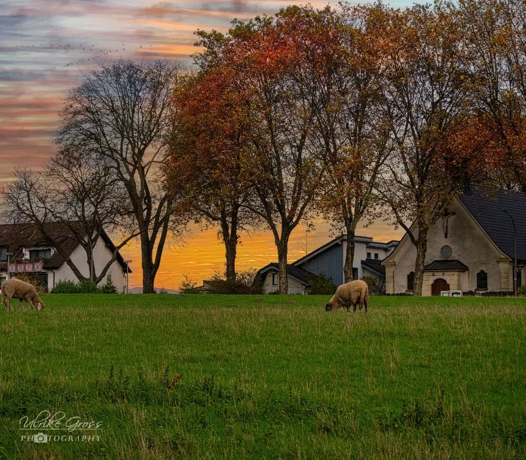 Post 5 by Ulrike Groß on Instagram (image)