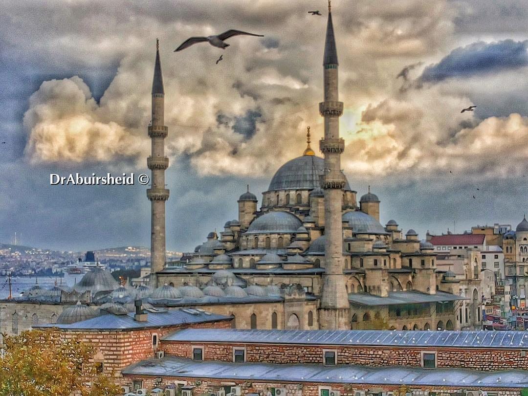 Post 2 by Ehab Abu Irsheid on Instagram (image)