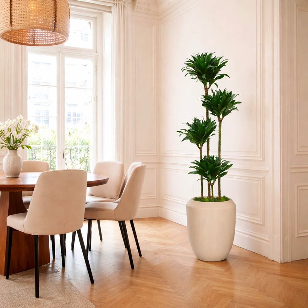 Post 2 by Léon & George 🪴Premium Potted Plants on Instagram (carousel)