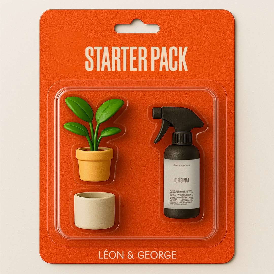 Post 7 by Léon & George 🪴Premium Potted Plants on Instagram (image)
