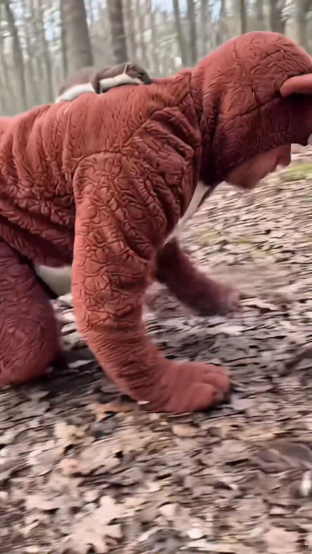 Post 3 by Richard Kuefler on Instagram (video)