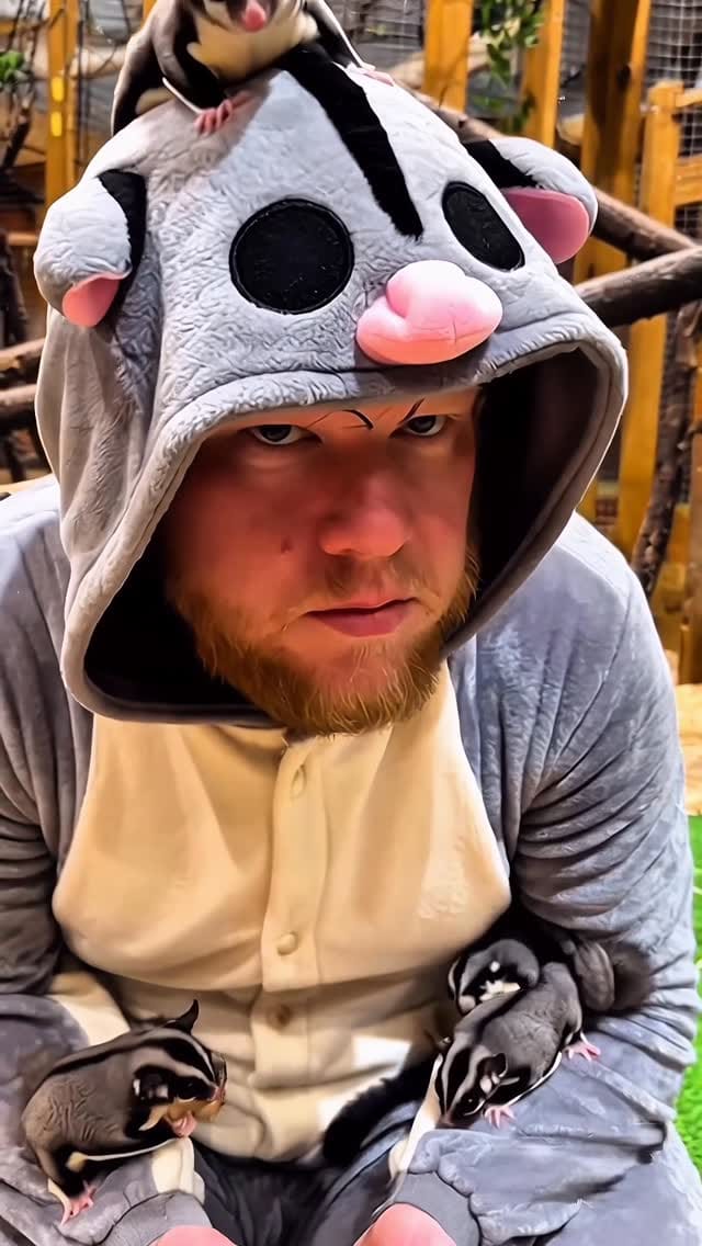 Post 2 by Richard Kuefler on Instagram (video)
