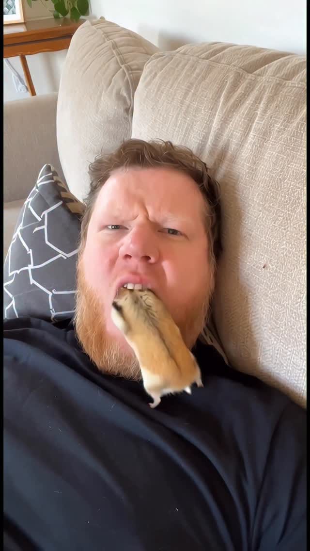 Post 5 by Richard Kuefler on Instagram (video)