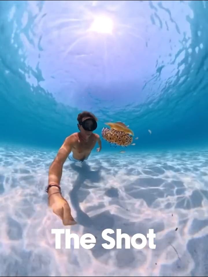 Post 5 by Sea Gear on Instagram (video)