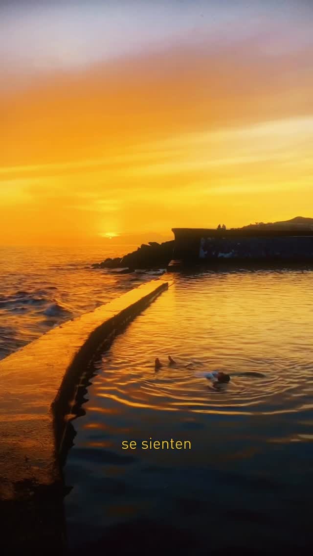Post 7 by Macaronesian Gin on Instagram (video)