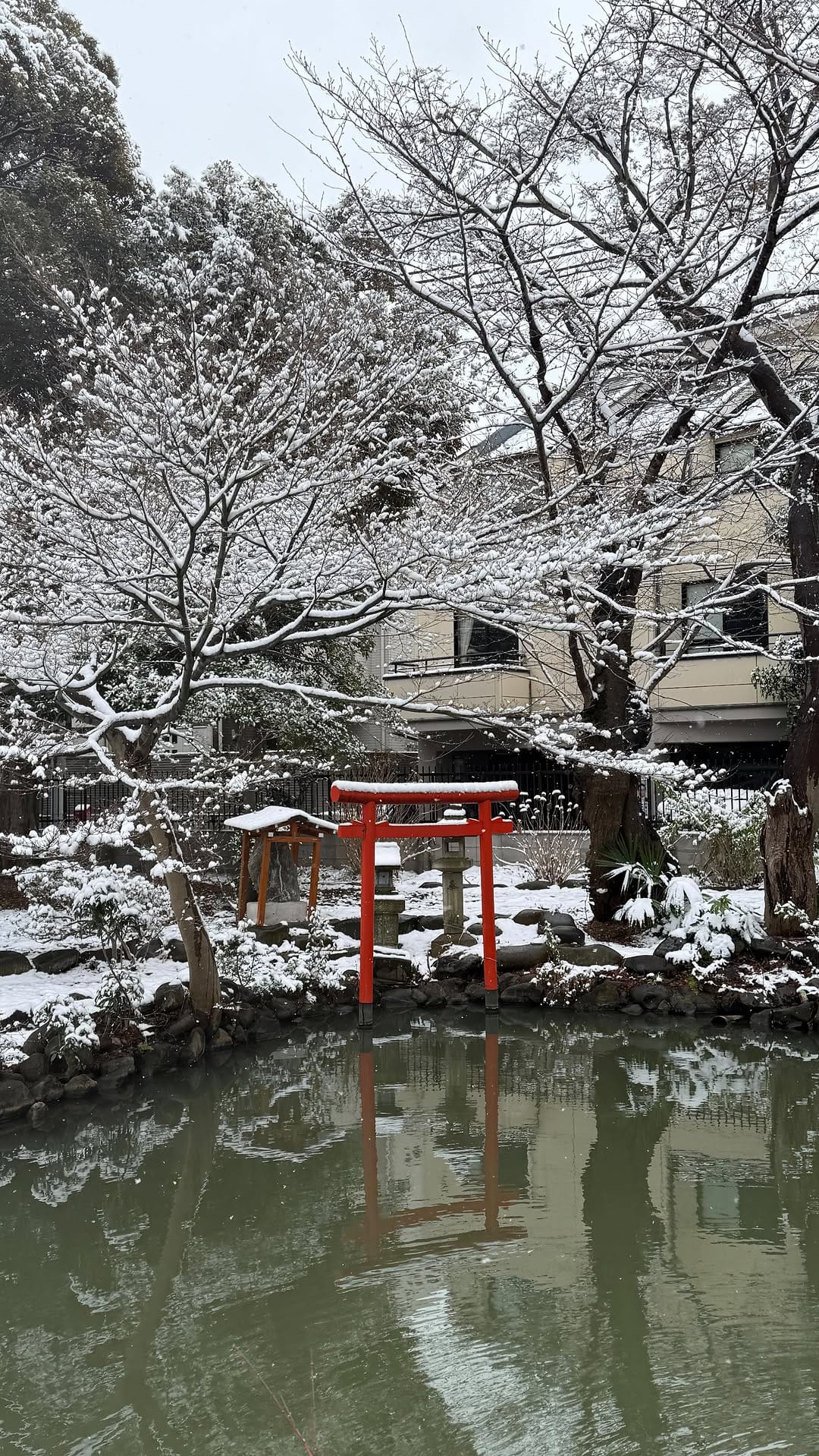 Post 2 by malin的日本生活🇯🇵 ｜ 日本旅遊•美食·景點 on Instagram (video)