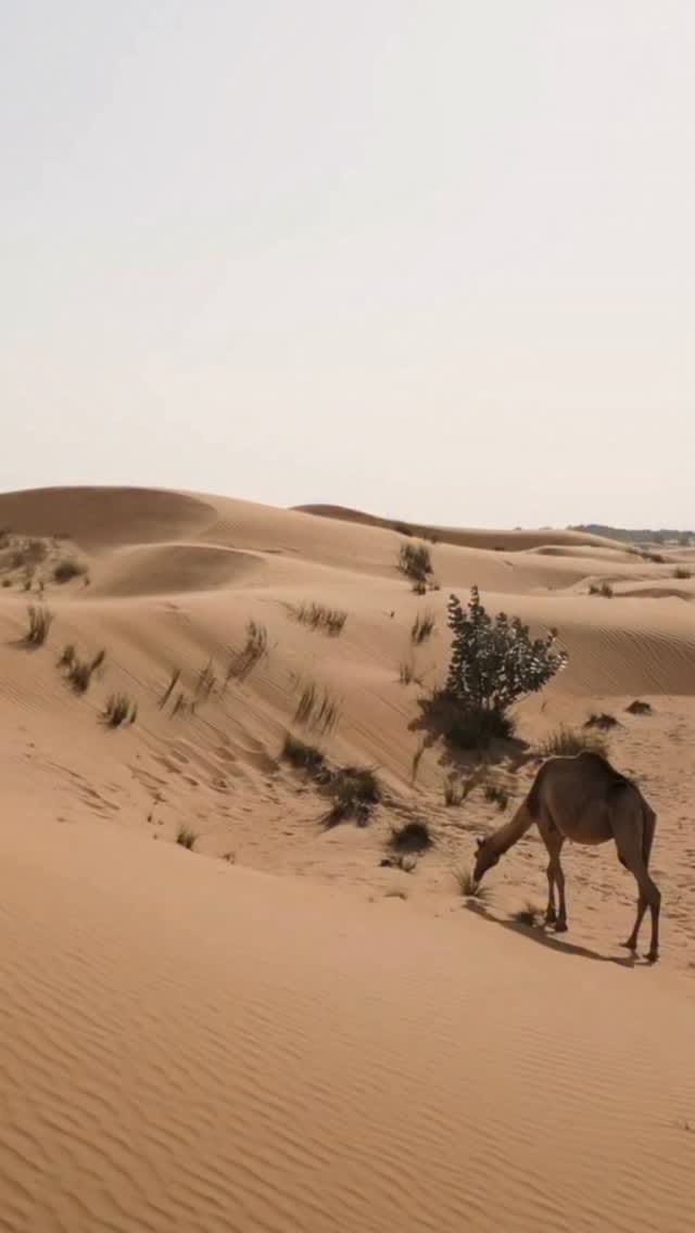 Post 9 by Ket on Instagram (video)