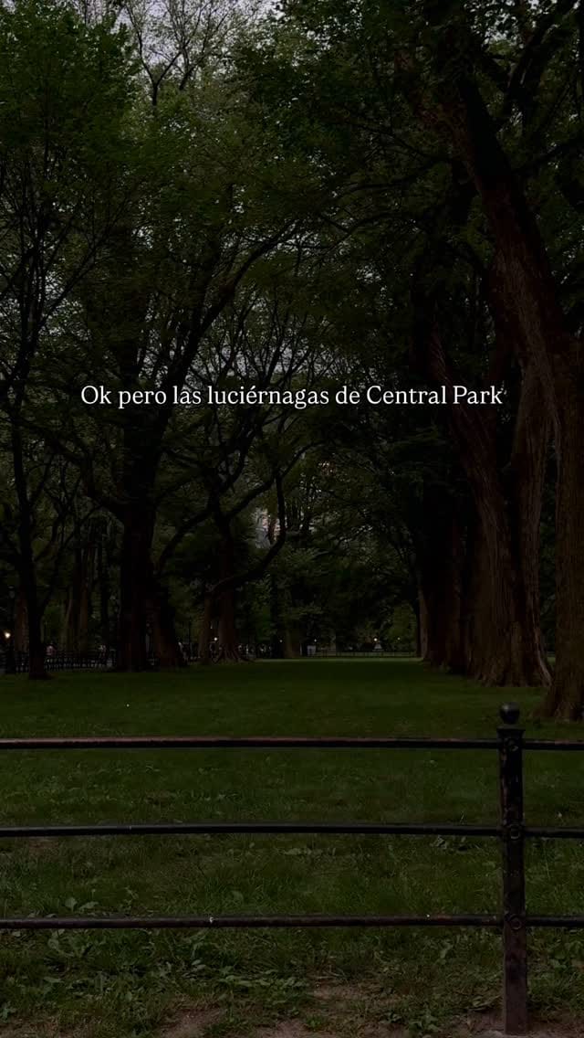 Post 10 by Tania Via on Instagram (video)