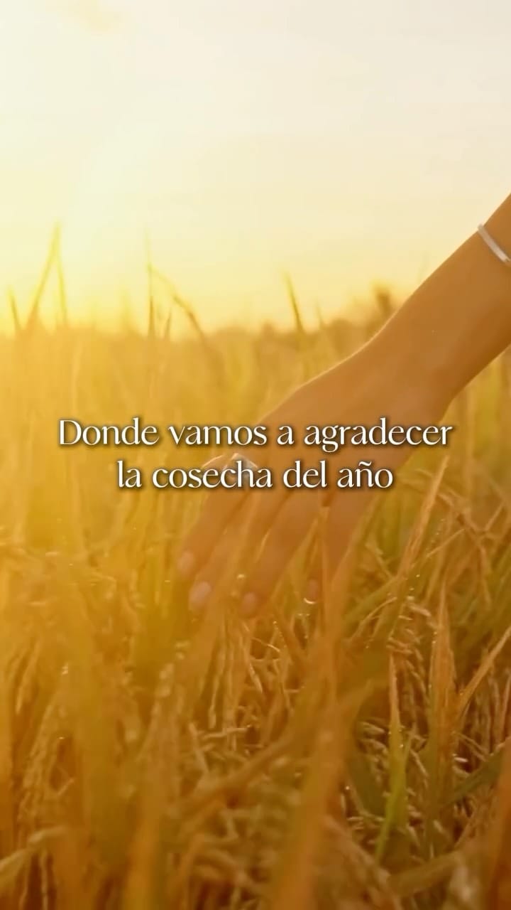 Post 4 by Tania Via on Instagram (video)