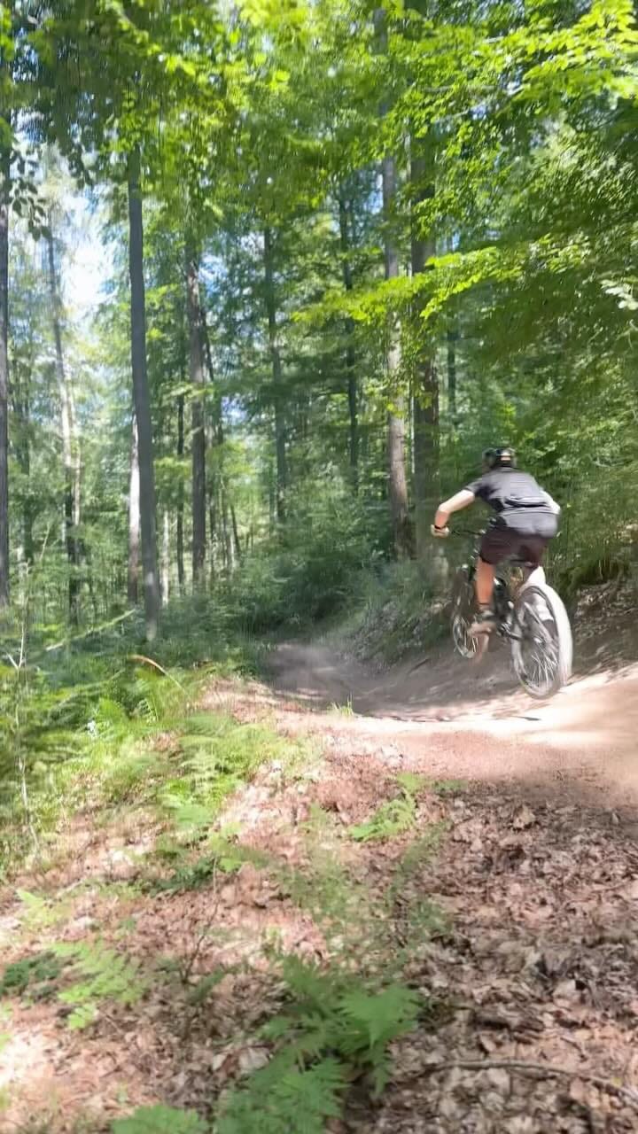 Post 6 by 𝓚𝓾𝓫𝓲 🦁 on Instagram (video)