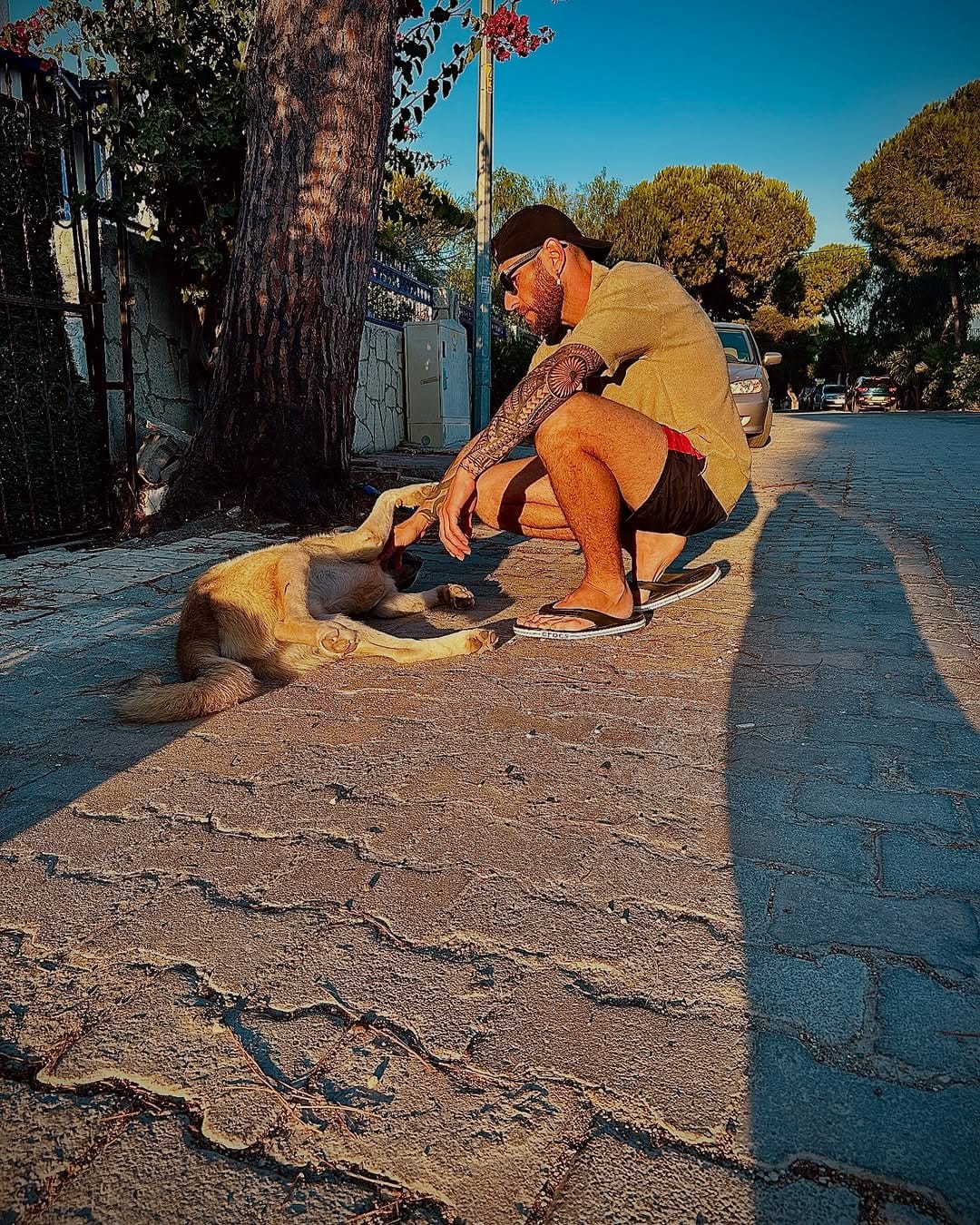 Post 1 by 𝓚𝓾𝓫𝓲 🦁 on Instagram (image)