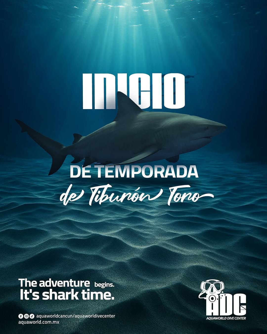Post 8 by Aquaworld Cancun on Instagram (carousel)