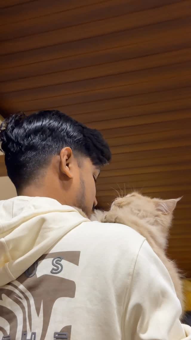 Post 1 by Shahrukh Hasan on Instagram (video)