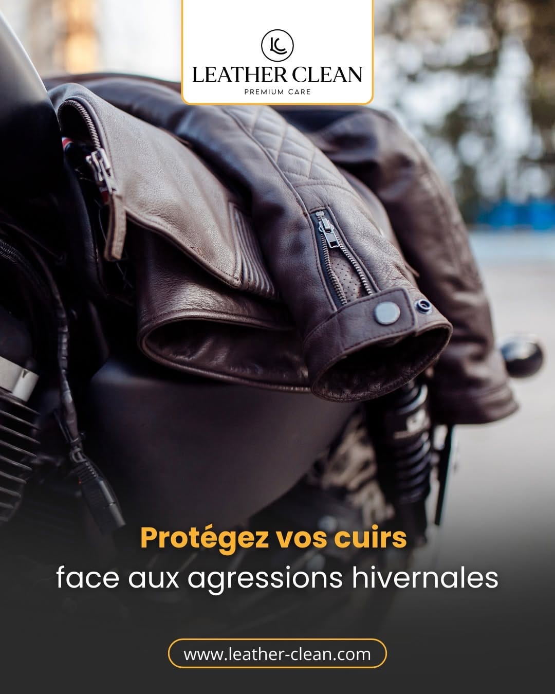 Post 7 by Leather Clean I Premium Care on Instagram (image)