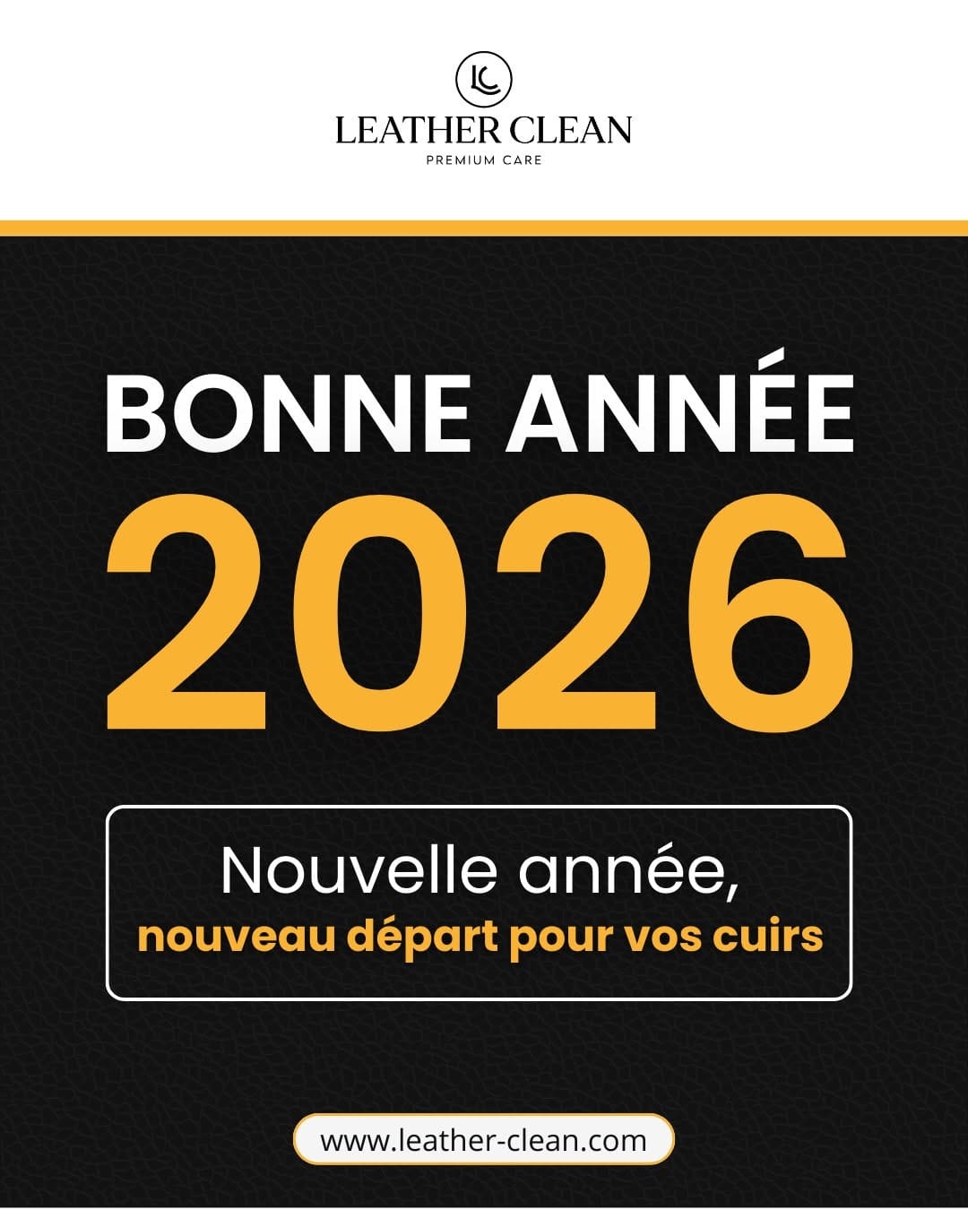 Post 5 by Leather Clean I Premium Care on Instagram (image)