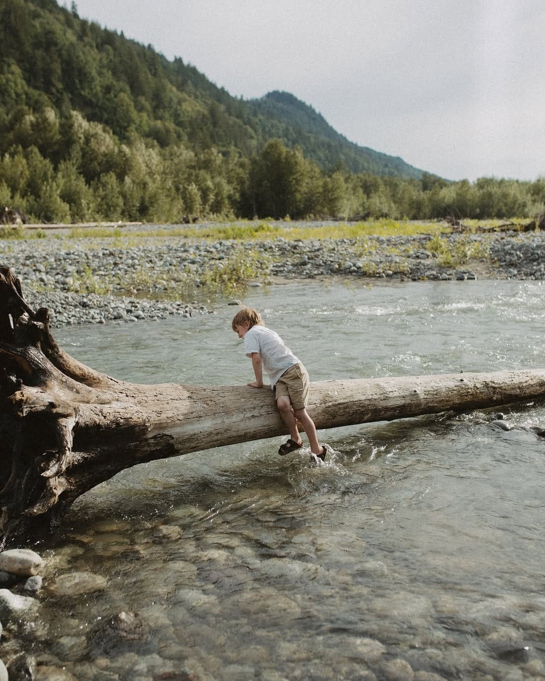 Post 3 by Jessica | Fraser Valley Photographer on Instagram (carousel)