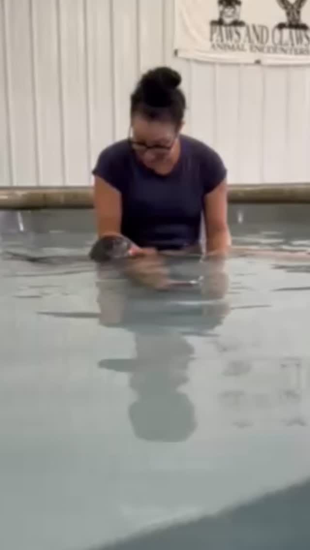 Post 6 by Pälish Me on Instagram (video)