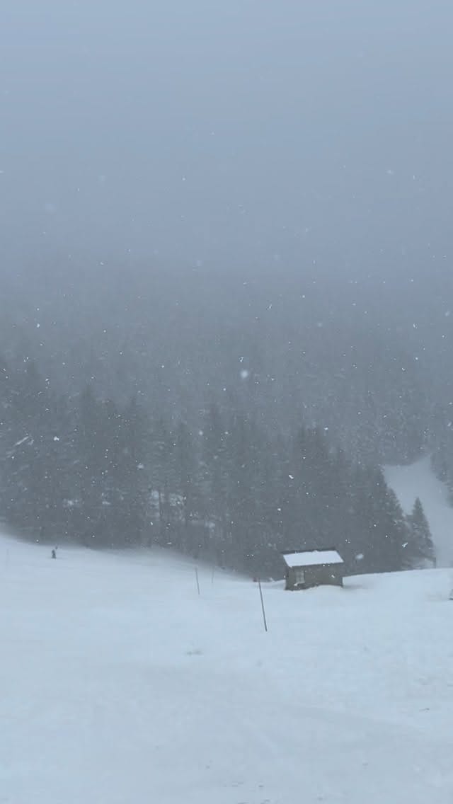 Post 2 by Ida Lecouvey Butin on Instagram (video)