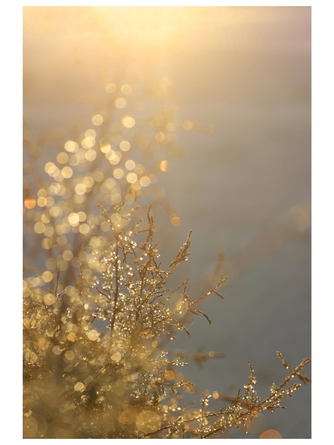 Post 6 by Ida Lecouvey Butin on Instagram (image)