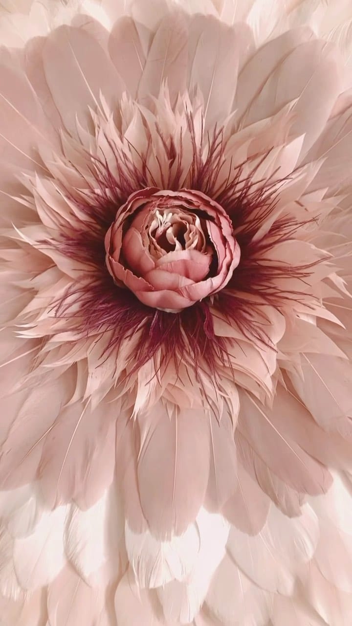 Post 7 by ~ Amélie ~ on Instagram (video)
