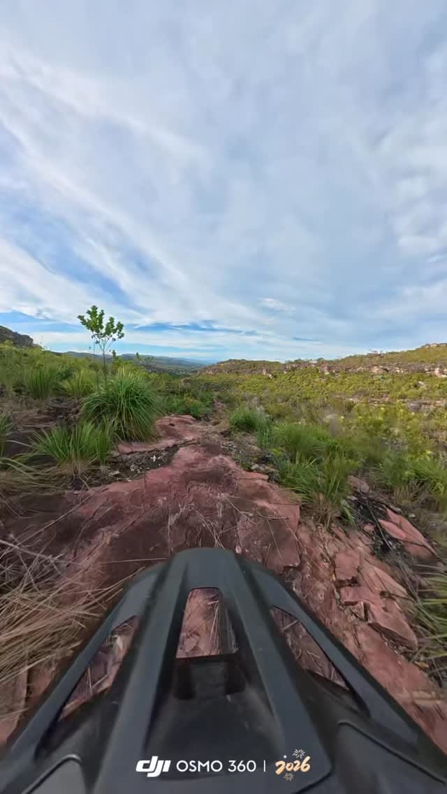 Post 5 by LP Silva on Instagram (video)
