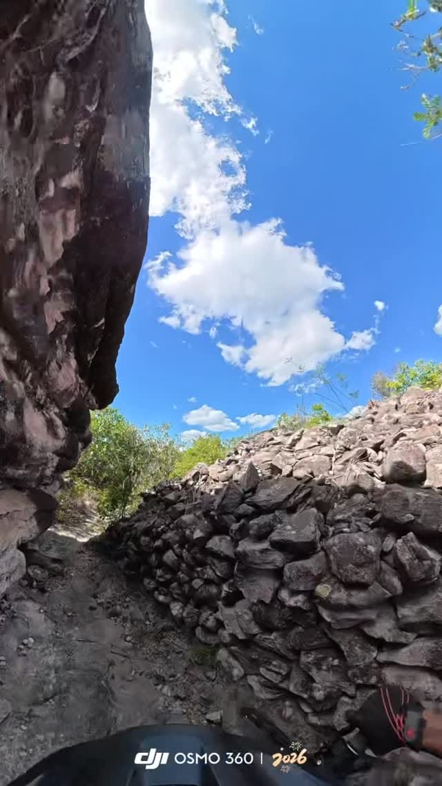 Post 3 by LP Silva on Instagram (video)
