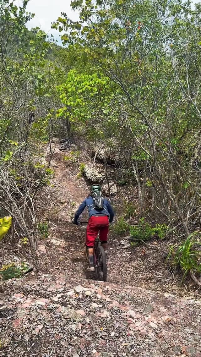 Post 10 by LP Silva on Instagram (video)